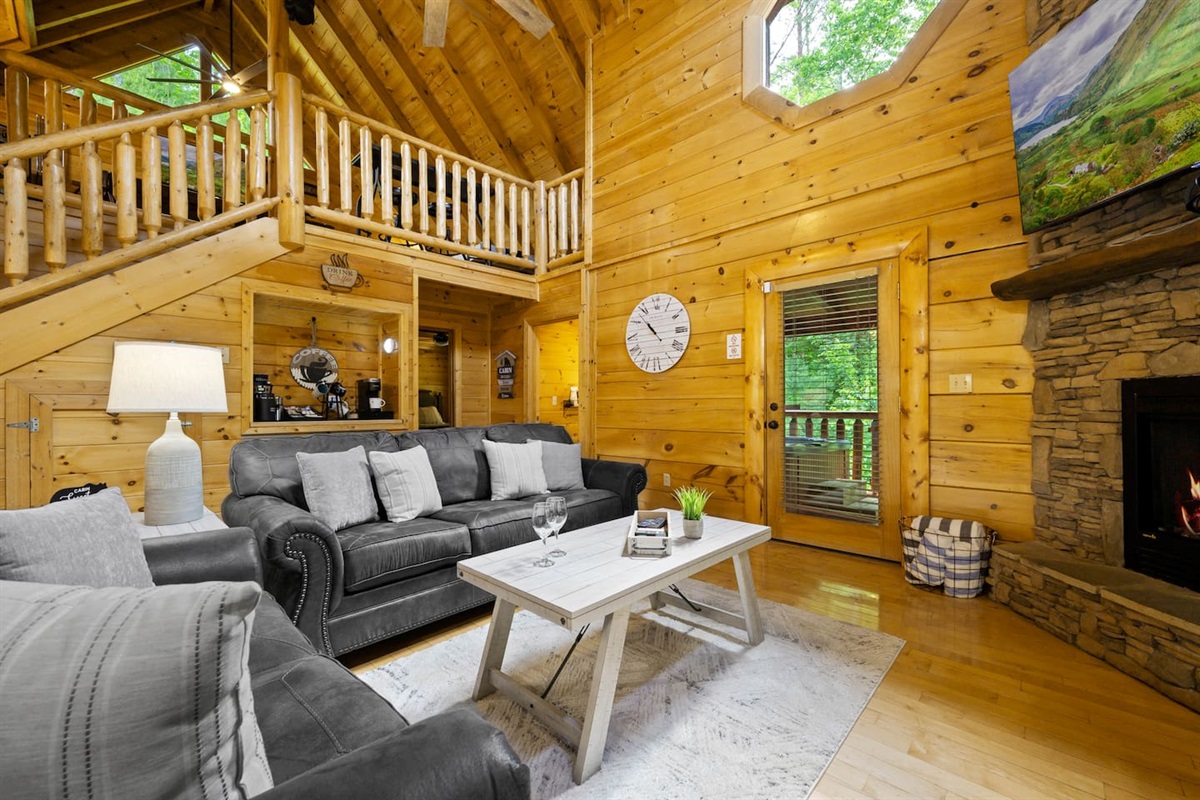 View from your cushiony recliner.