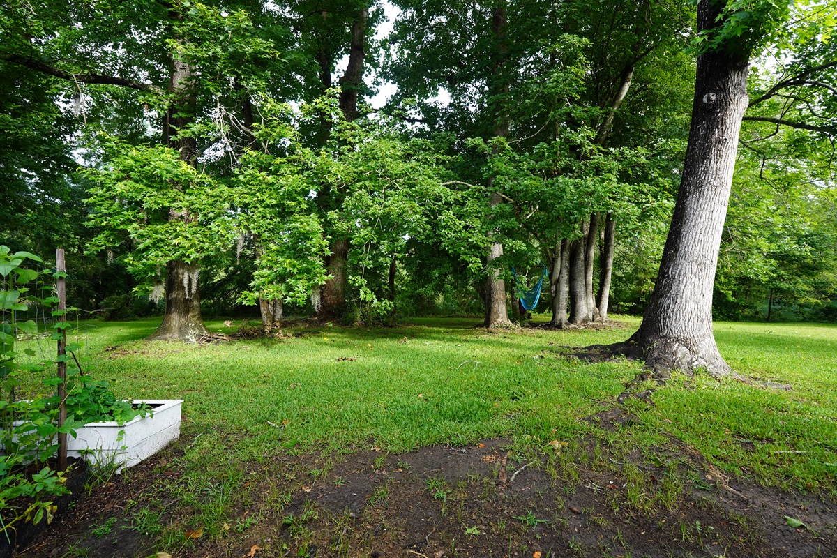 Common area yard