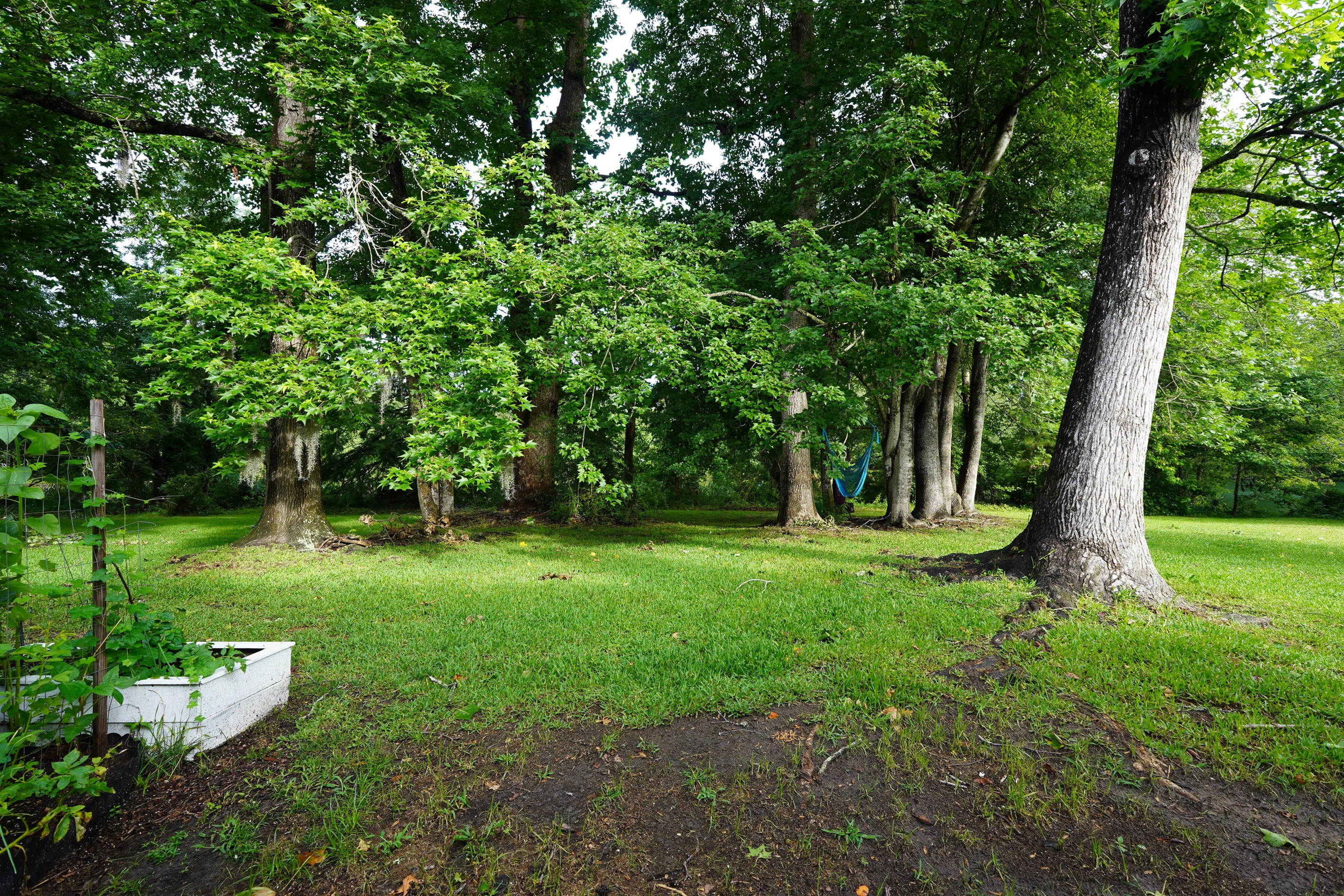 Common area yard
