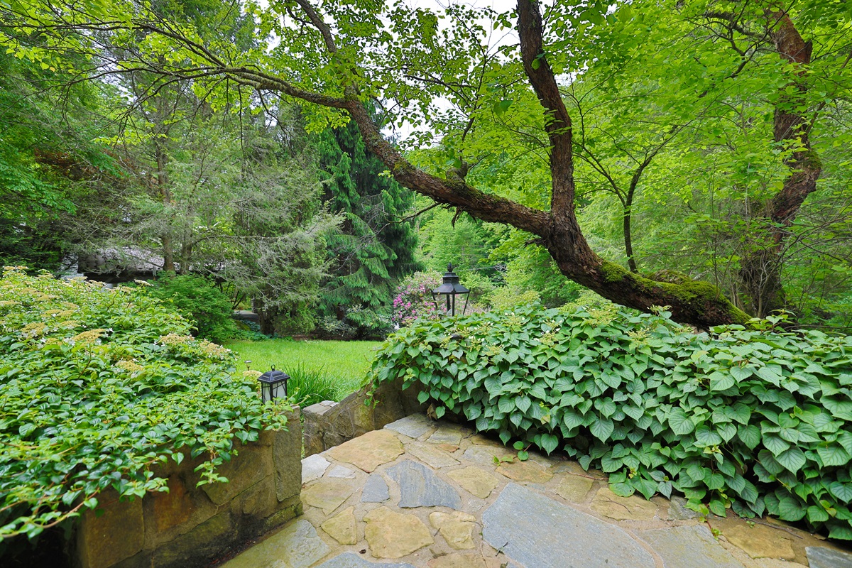 Property grounds are abundant with native perennial flowers and plants throughout the gardens