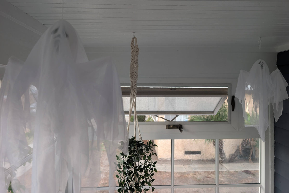 Halloween fun in the sunroom 👻🎃