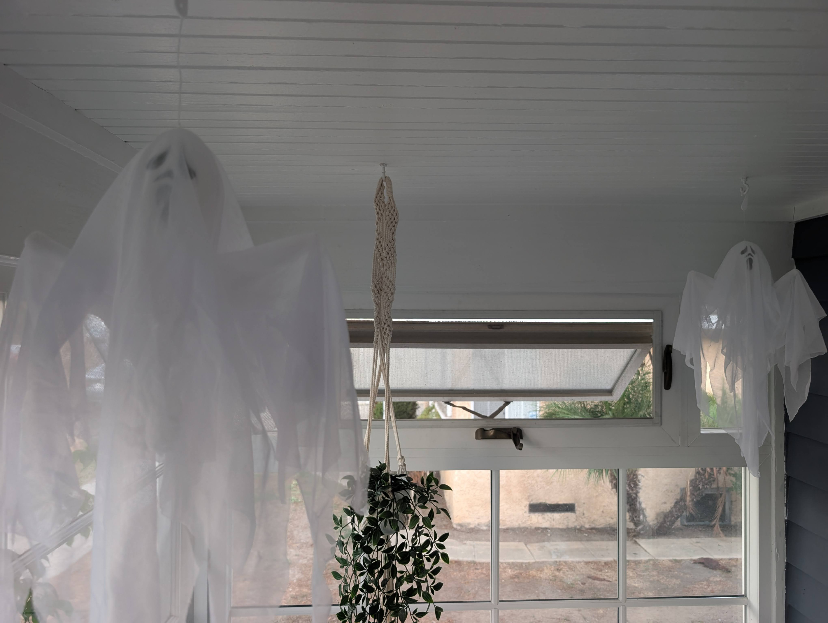Halloween fun in the sunroom 👻🎃