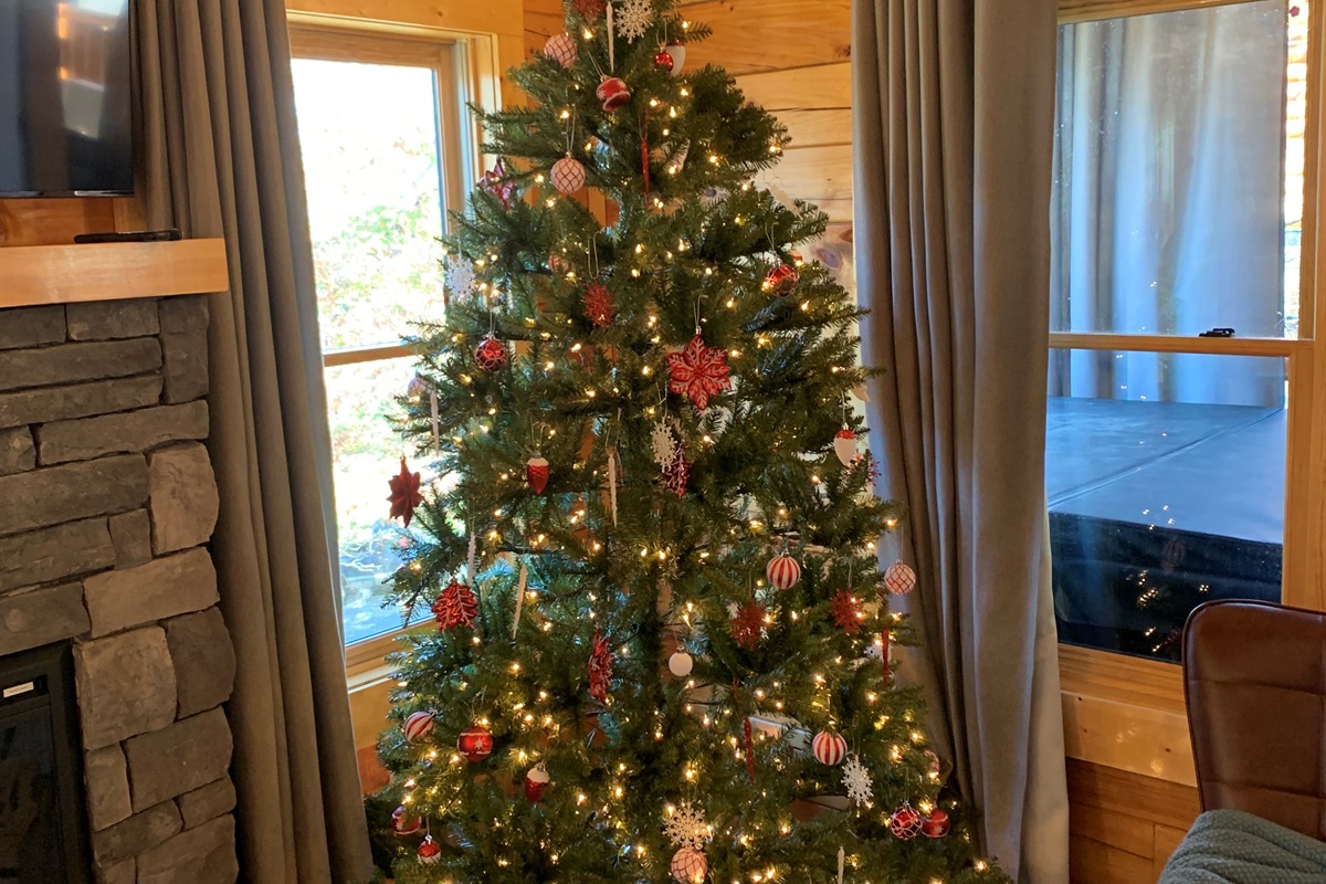 Our Christmas tree is up!  Come celebrate the holidays with us.