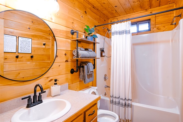 Main bath - shower/tub combo