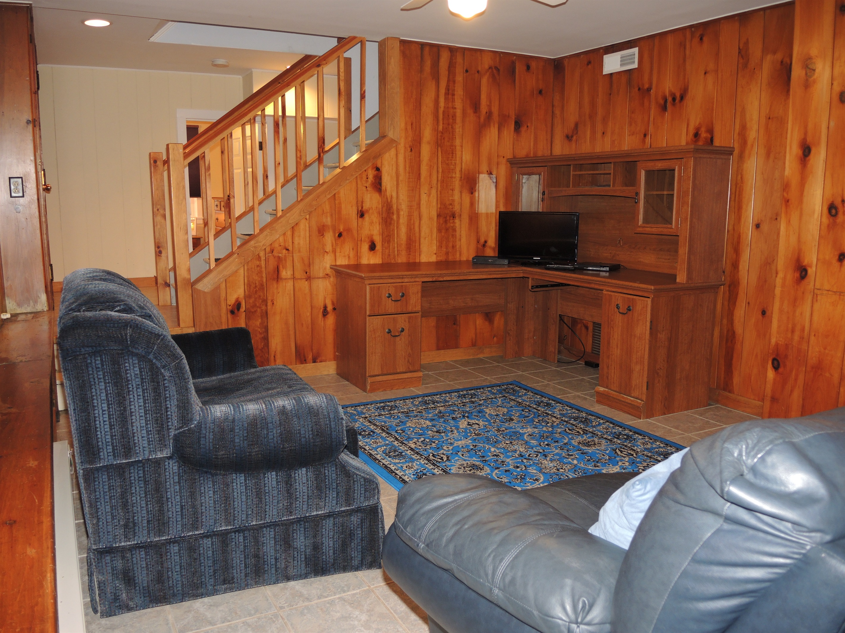 Lower level family room