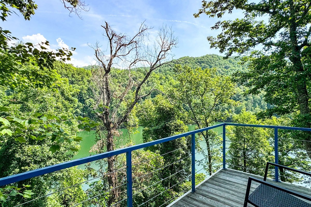 North facing balcony on the front of the house. Perfect for enjoying some outside time in the trees or an evening sunset! Keep in mind the lake levels are drained from September through May.