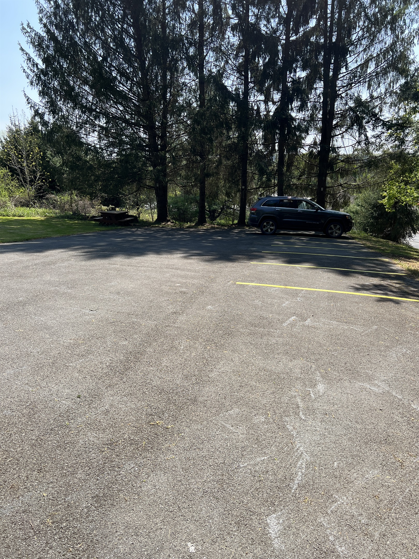 Private parking, with painted lines to designate parking spots!