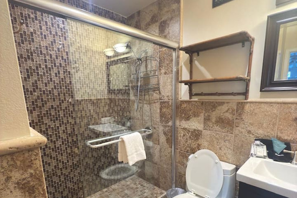 Glass walk-in shower