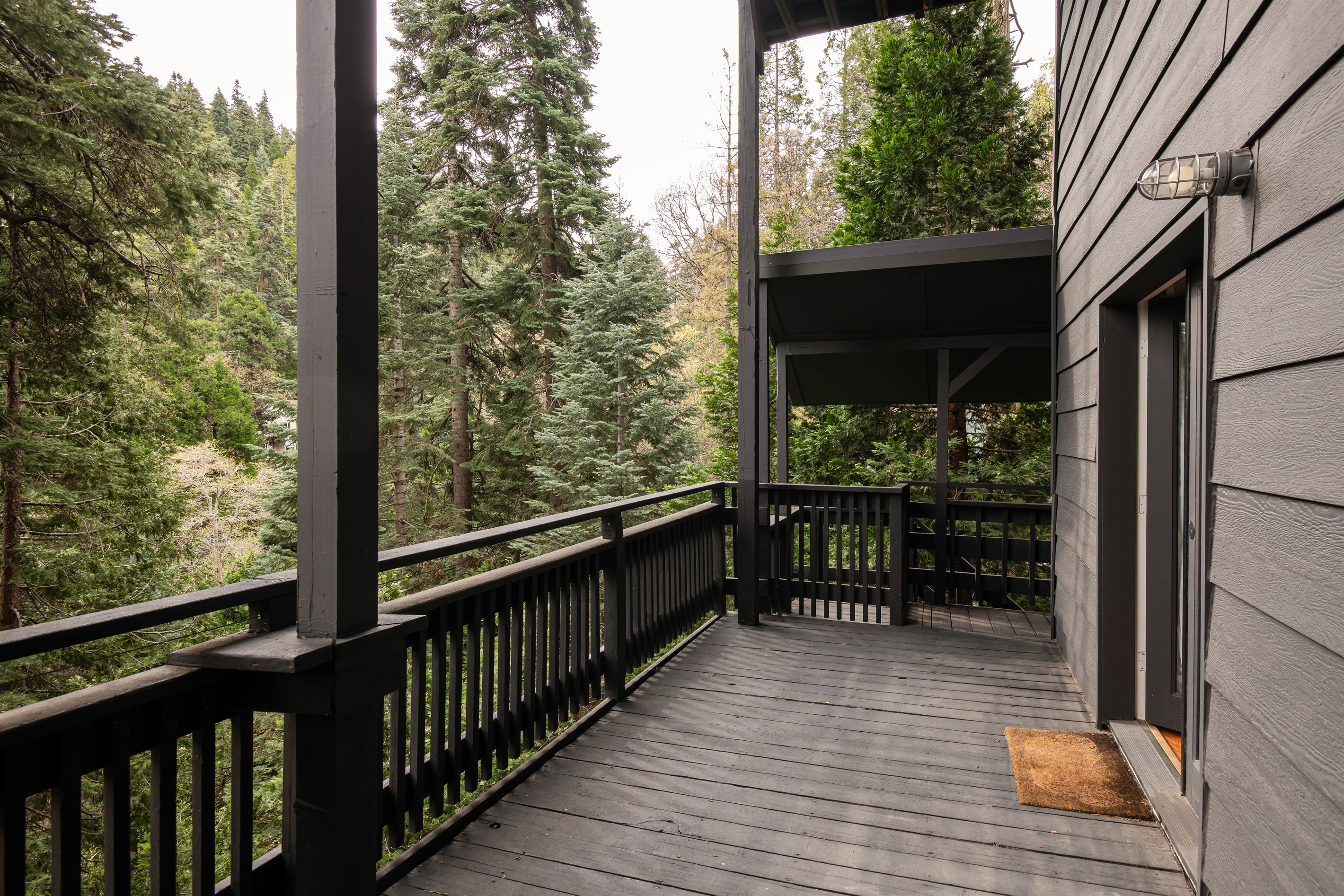Private deck surrounded by towering trees—perfect for enjoying fresh mountain air and peaceful forest views.