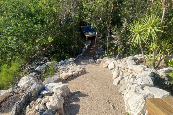 The trail leads to the wooded area and loops back to the citrus garden.