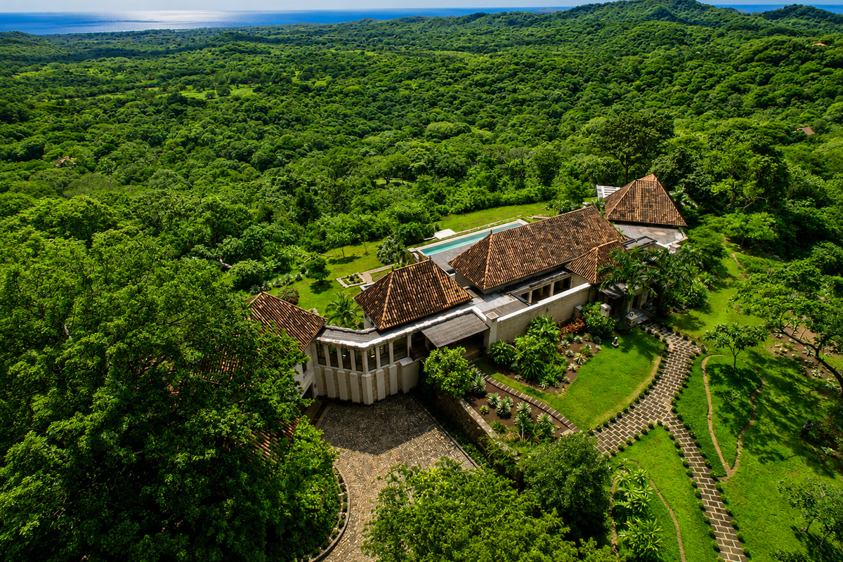 Jungle and Ocean Views 