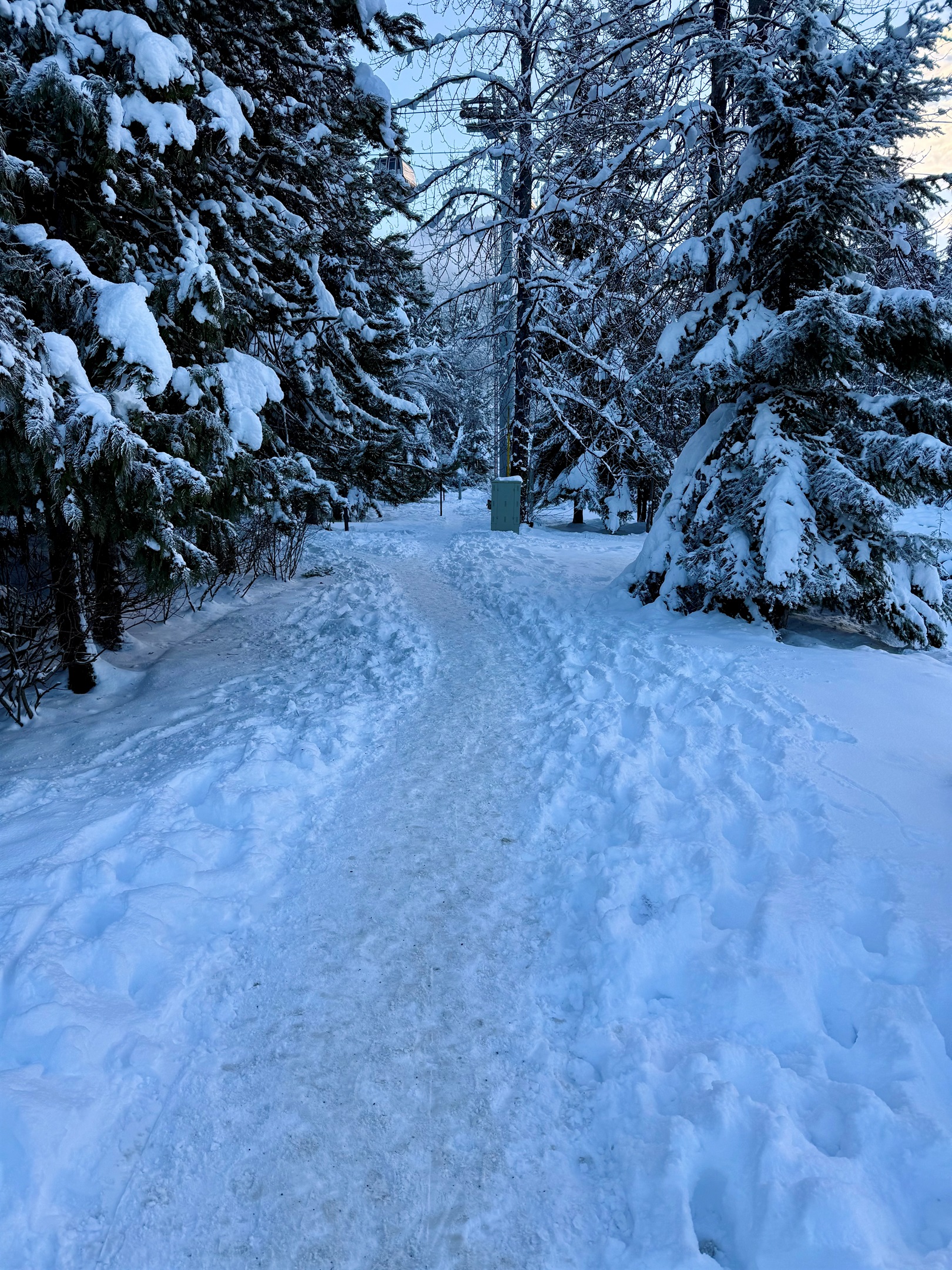 Ski home from Blackcomb -  the last section of your ski home trail weaves along the Fitzsimmons Creek before coming to rest at Blackcomb Way where you will need to take off your skis for the final 50 meter pathway to your front door.   