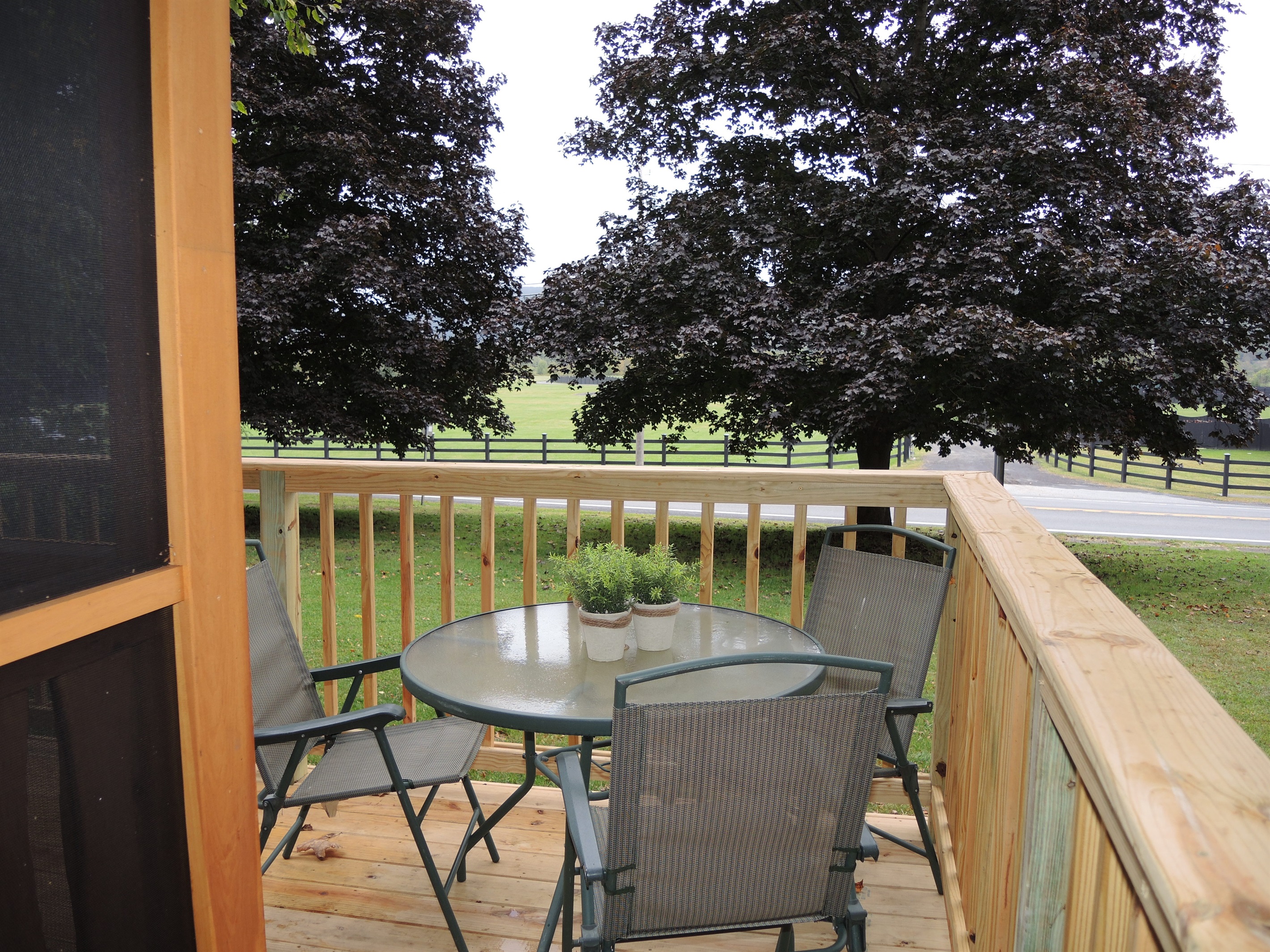 Deck overlooking lawn, CDP fences in  background