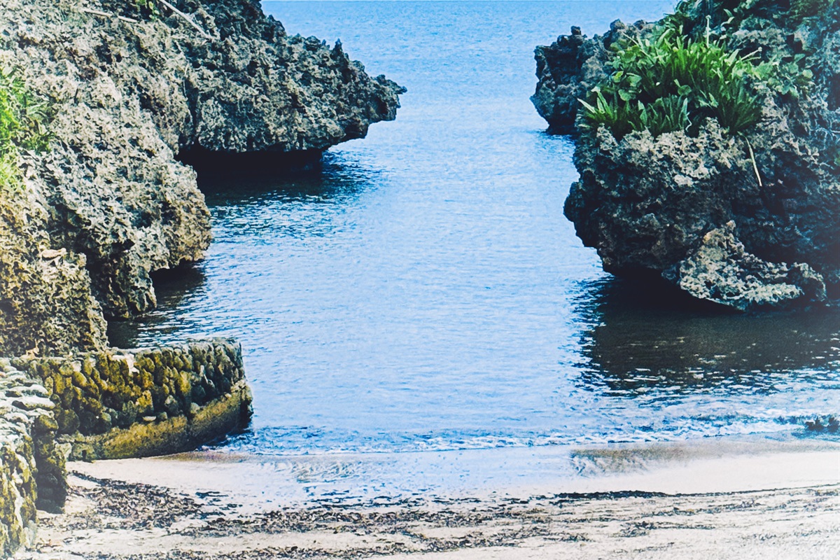 Great snorkeling with plenty of marine life that is not over used by other tourist