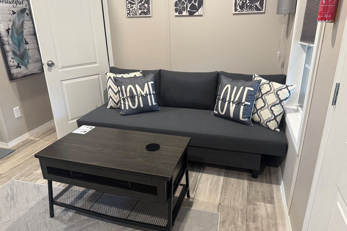 Living room with sleeper sofa