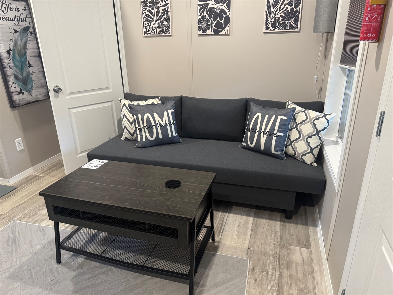 Living room with sleeper sofa