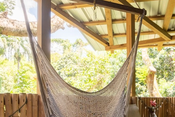 swing in the hammock chair