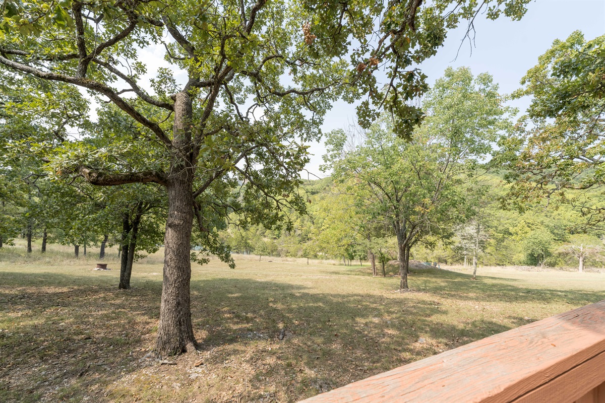 Back yard space