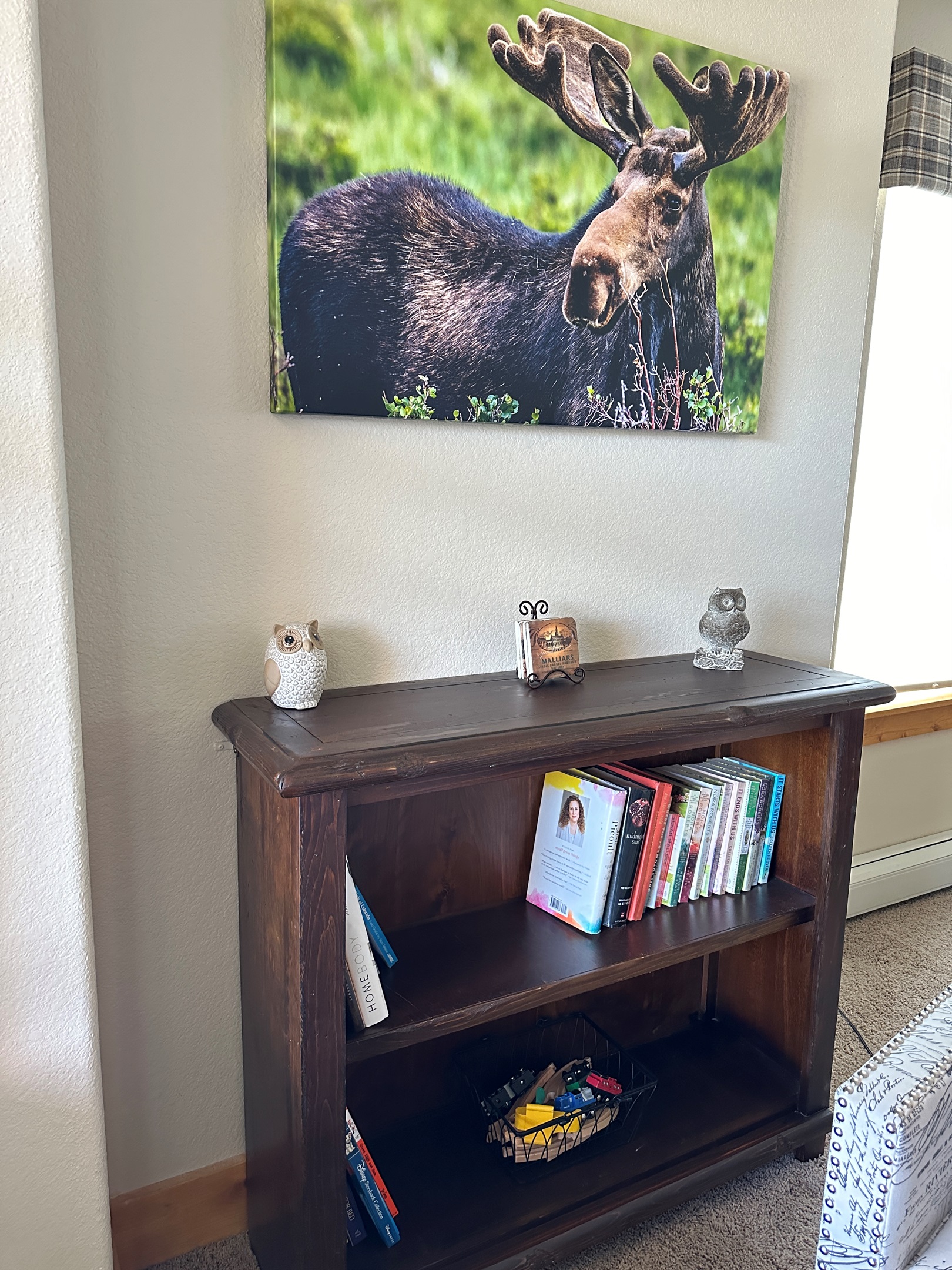 Reading library provided