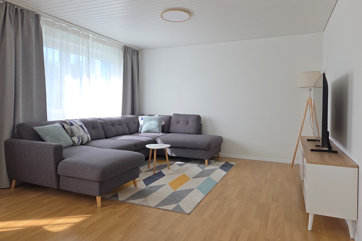 The living room has a big, comfortable sofa that can be converted into a bed.
