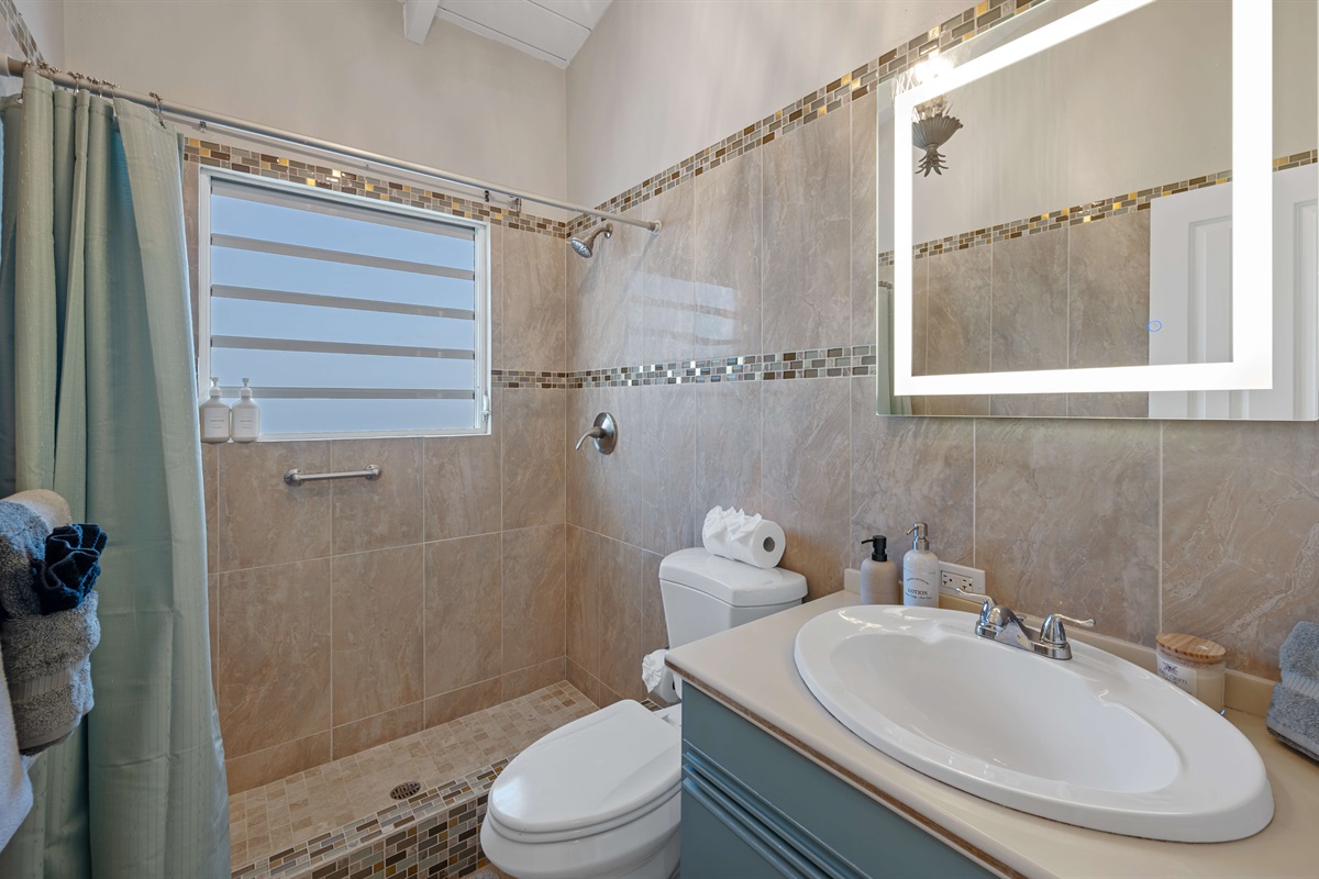 Full guest bathroom with step in shower