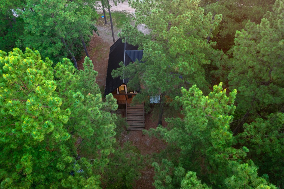 Hidden Retreat: Nestled in the trees, this cabin promises tranquility and stunning views!