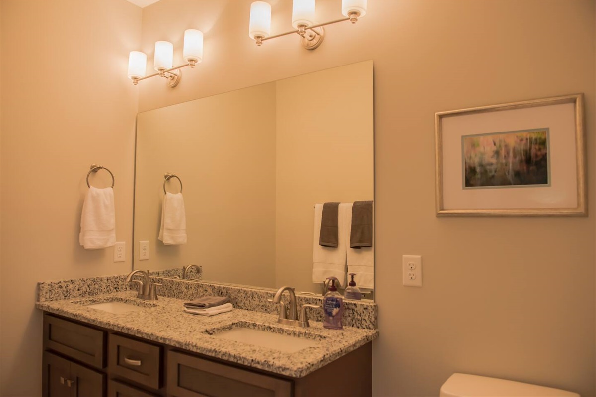 Walk in shower and double vanity sink