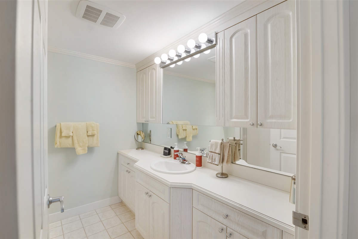 Main Floor Bathroom