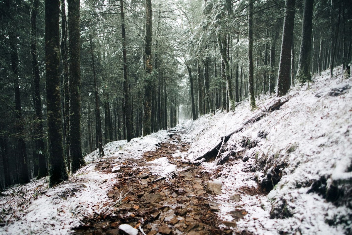Hiking the trails during Spring, Summer, Fall, or Winter in the Great Smoky Mountains.