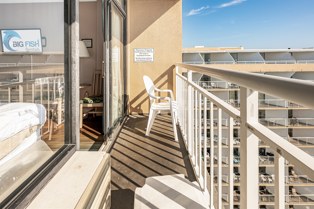 Amazing View from the Balcony!