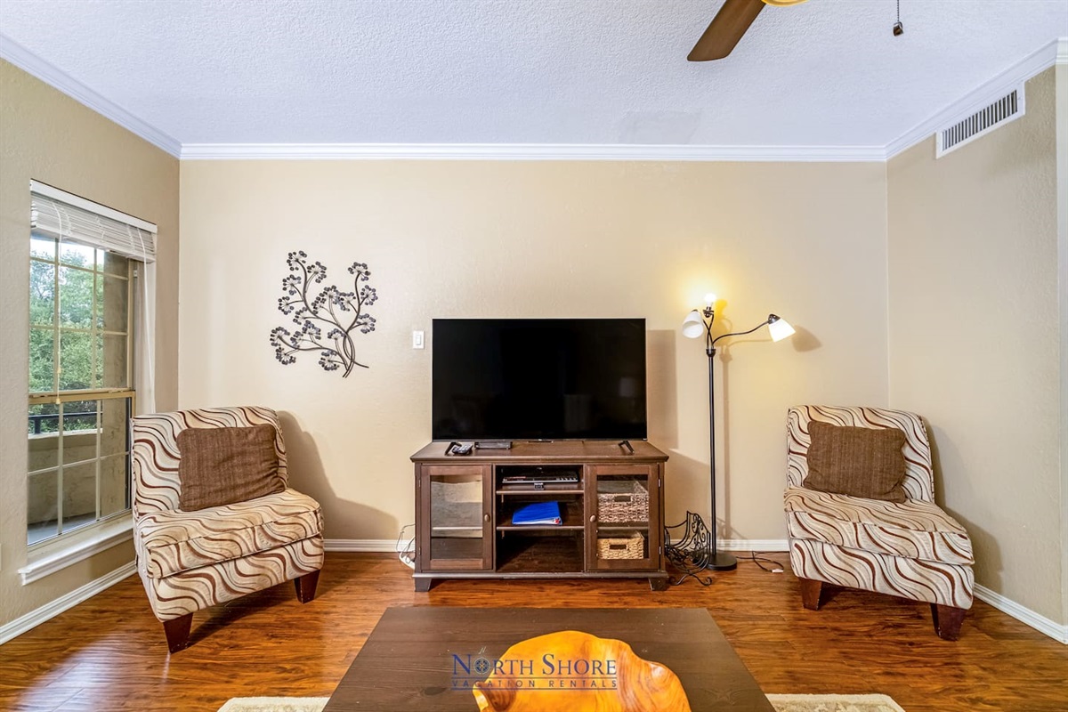 HDTV  in Living Room