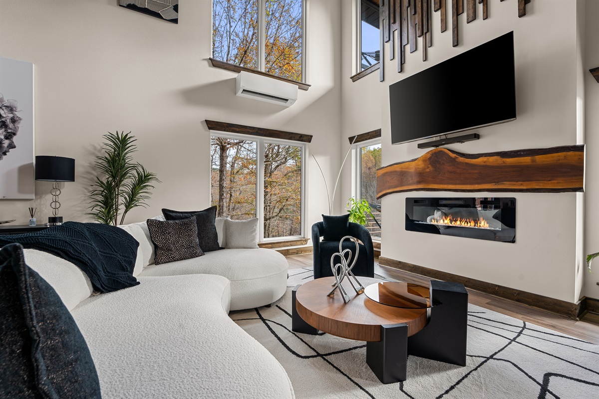 Living Room and Fireplace