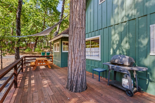 Gather on the side deck for a cookout or picnic under the shade of towering trees.