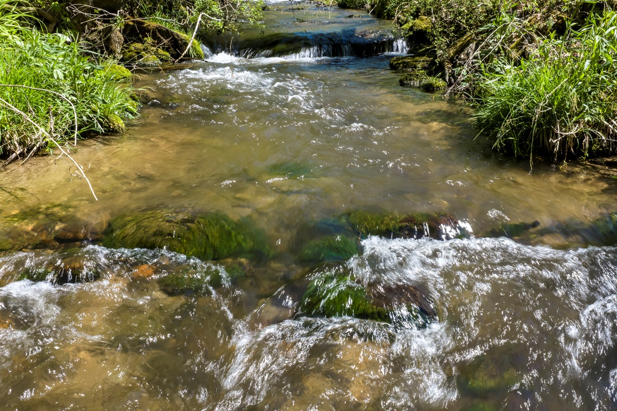 Mossy rocks along Yellow Creek, the inspiration behind Mossy Rocks Retreat.