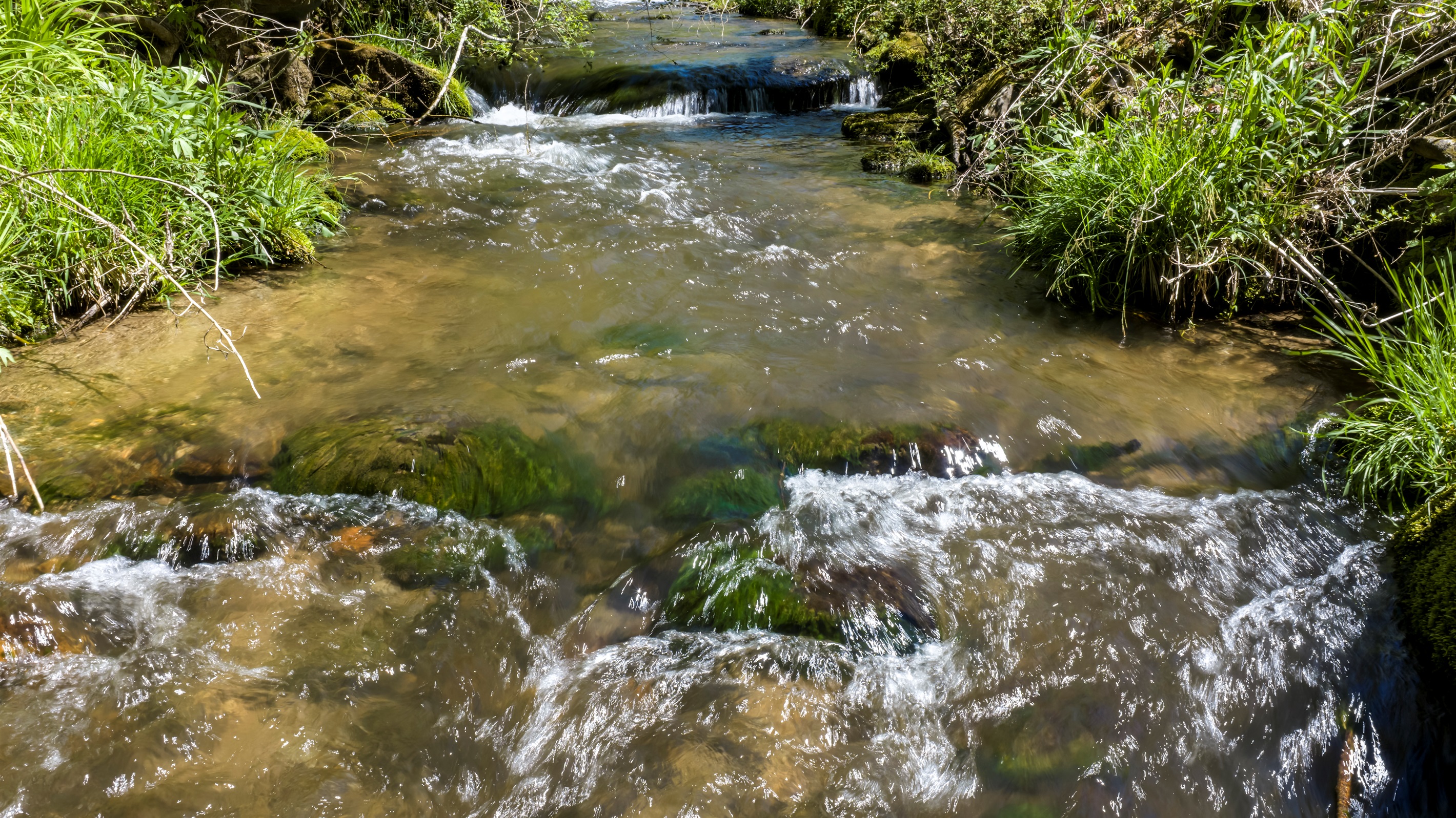 Mossy rocks along Yellow Creek, the inspiration behind Mossy Rocks Retreat.