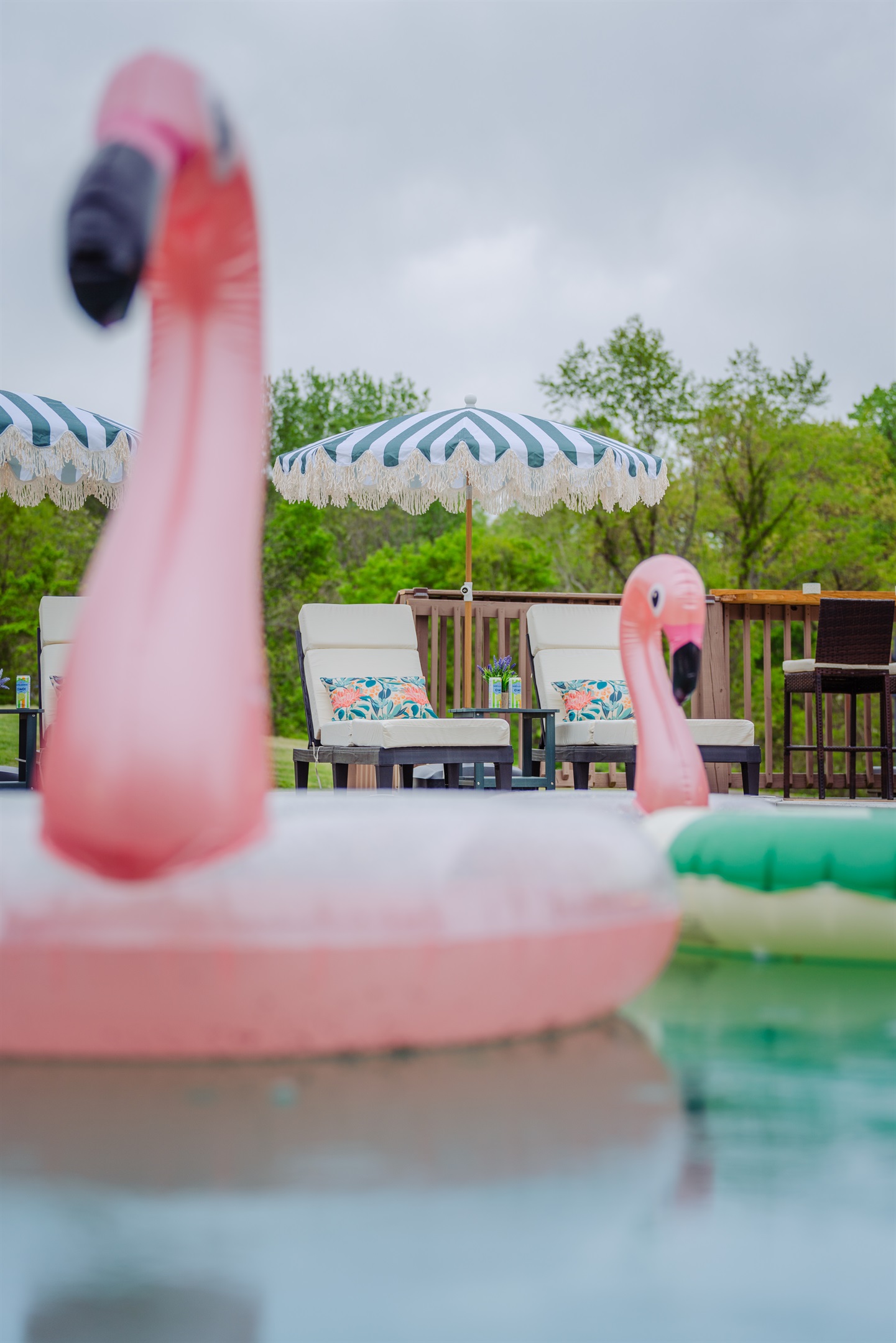Swim, float, and soak up the peaceful scenery all around you