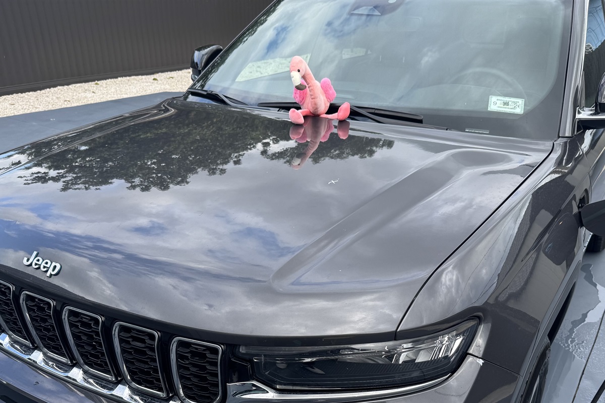 American Electric Vehicle EV is charging with a JJ1772 adapter. The charging station is in the gated backyard area and yes you are permitted to park on the concrete only while charging your EV. We have two adapters available, NACS and JJ1772.