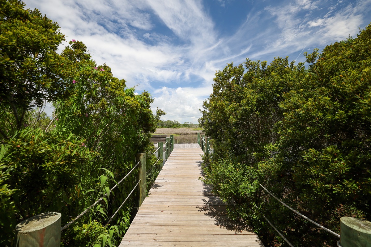 Lush greenery surrounds the dock