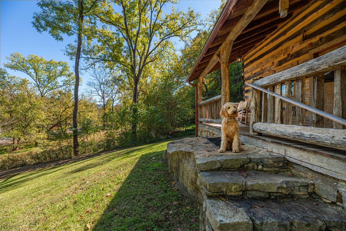 Our pups love the Riverstone and the abundant land to roam and play. We welcome your furry friend to come along on the adventure.