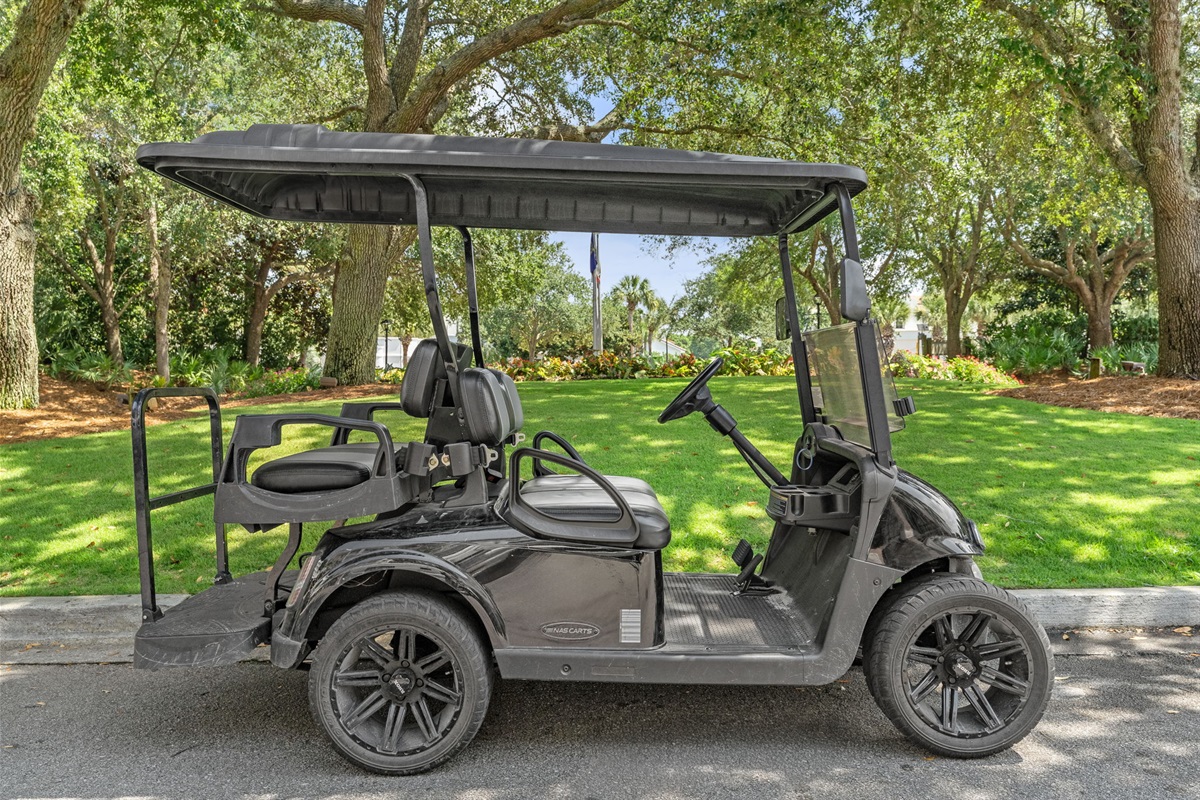 4 Seat Cart With Rental