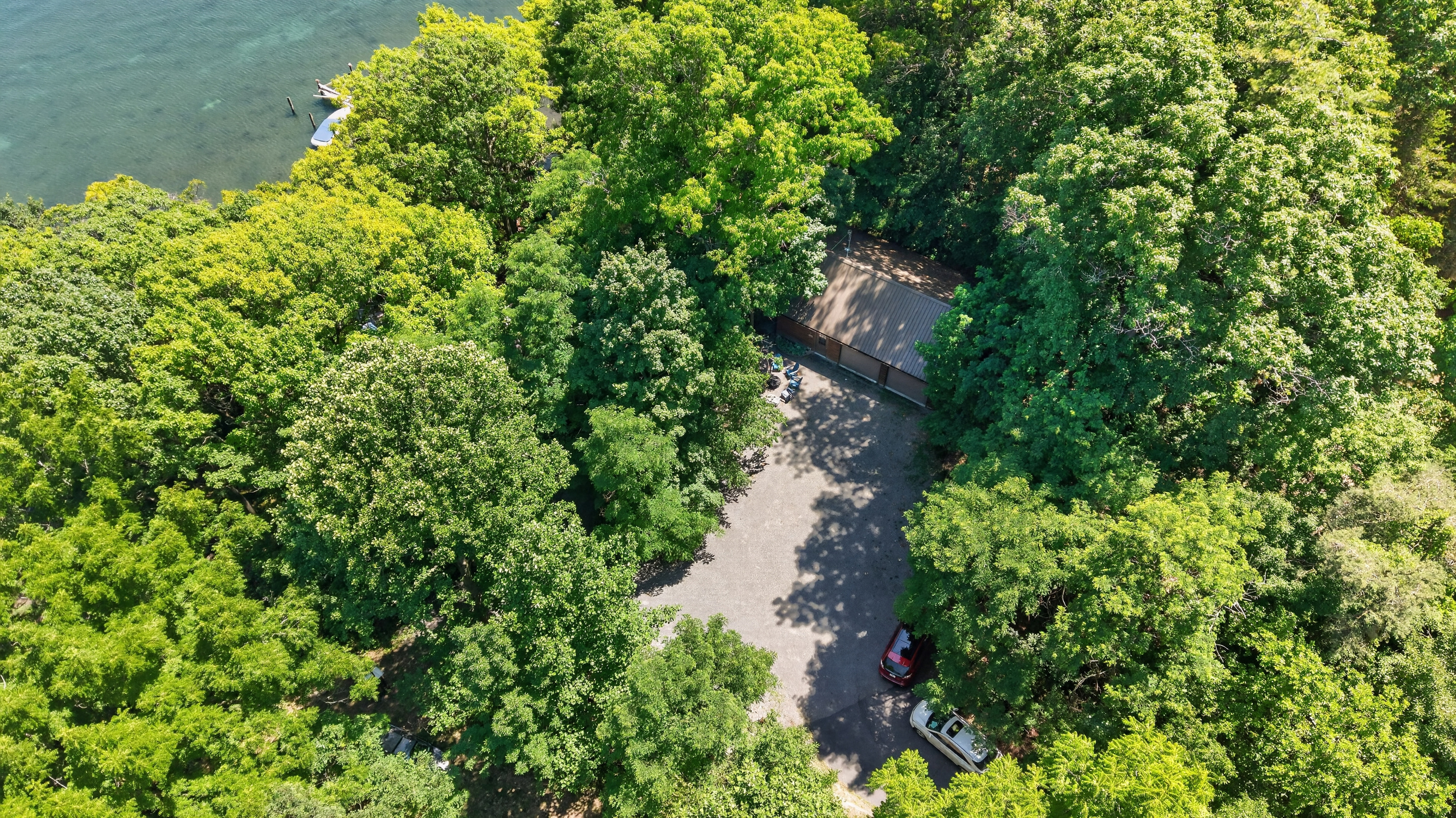 Aerial view of the tree-lined driveway
