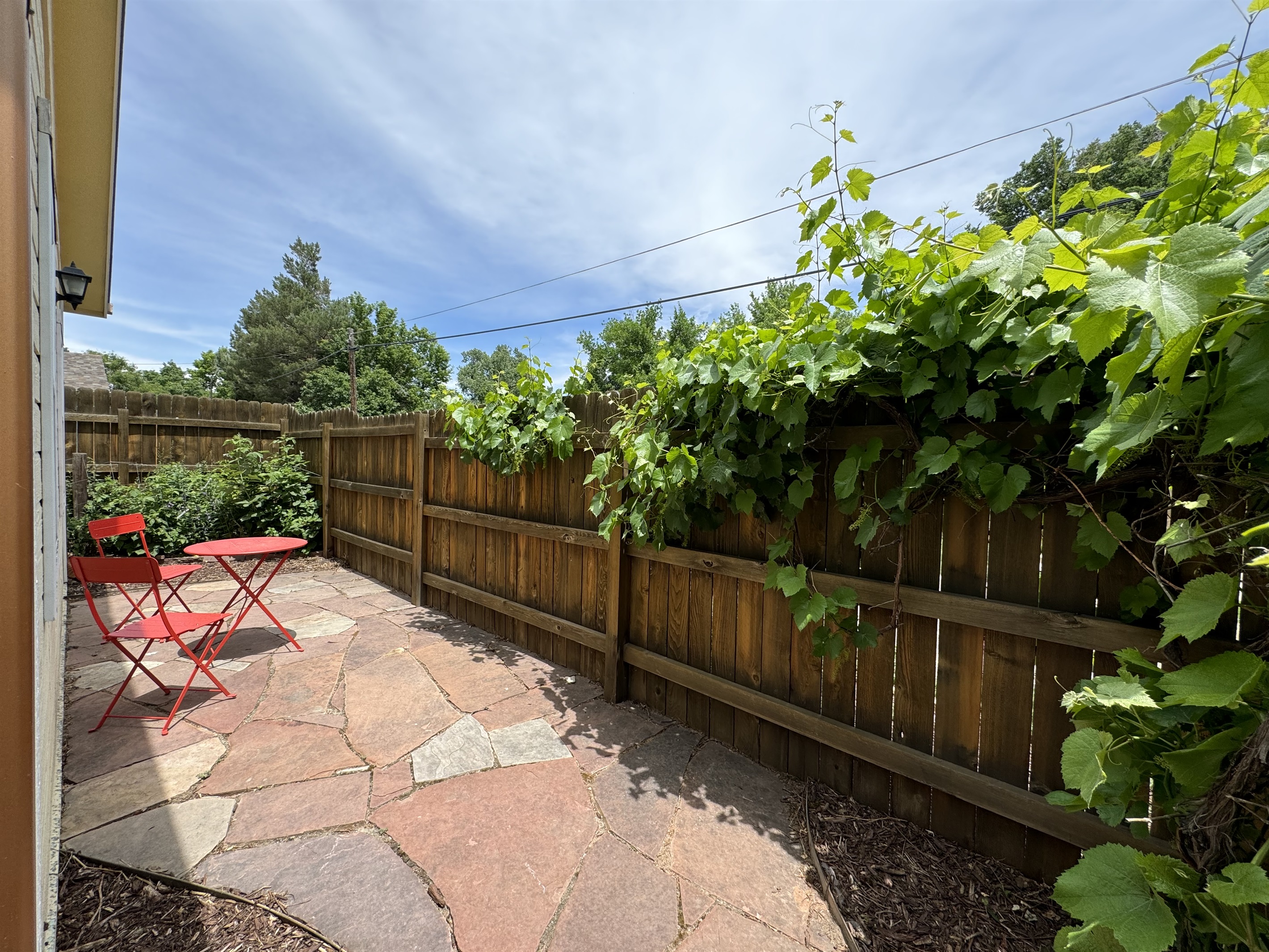 Back Patio with Grapevines