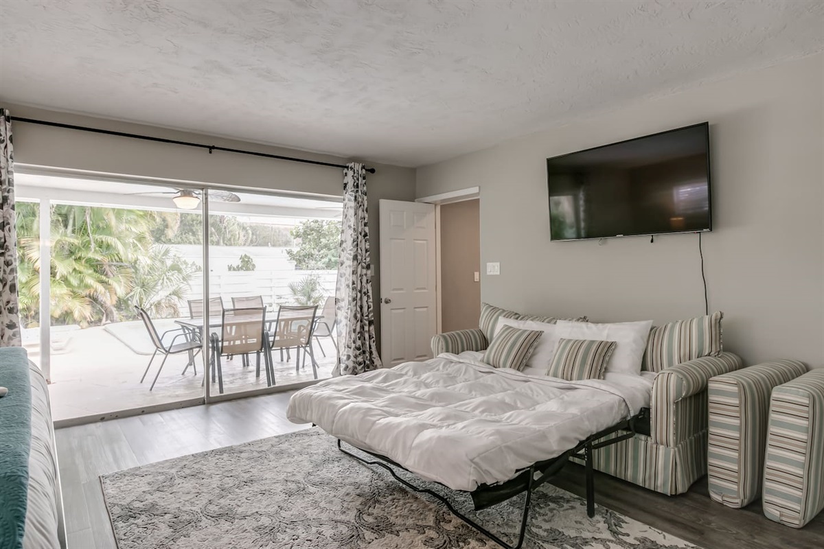 Master Bedroom Pull Out Sofa