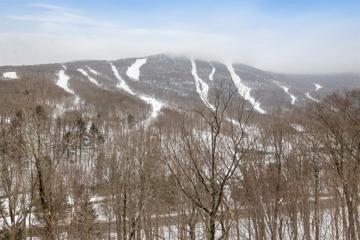 Winter view from your balcony!