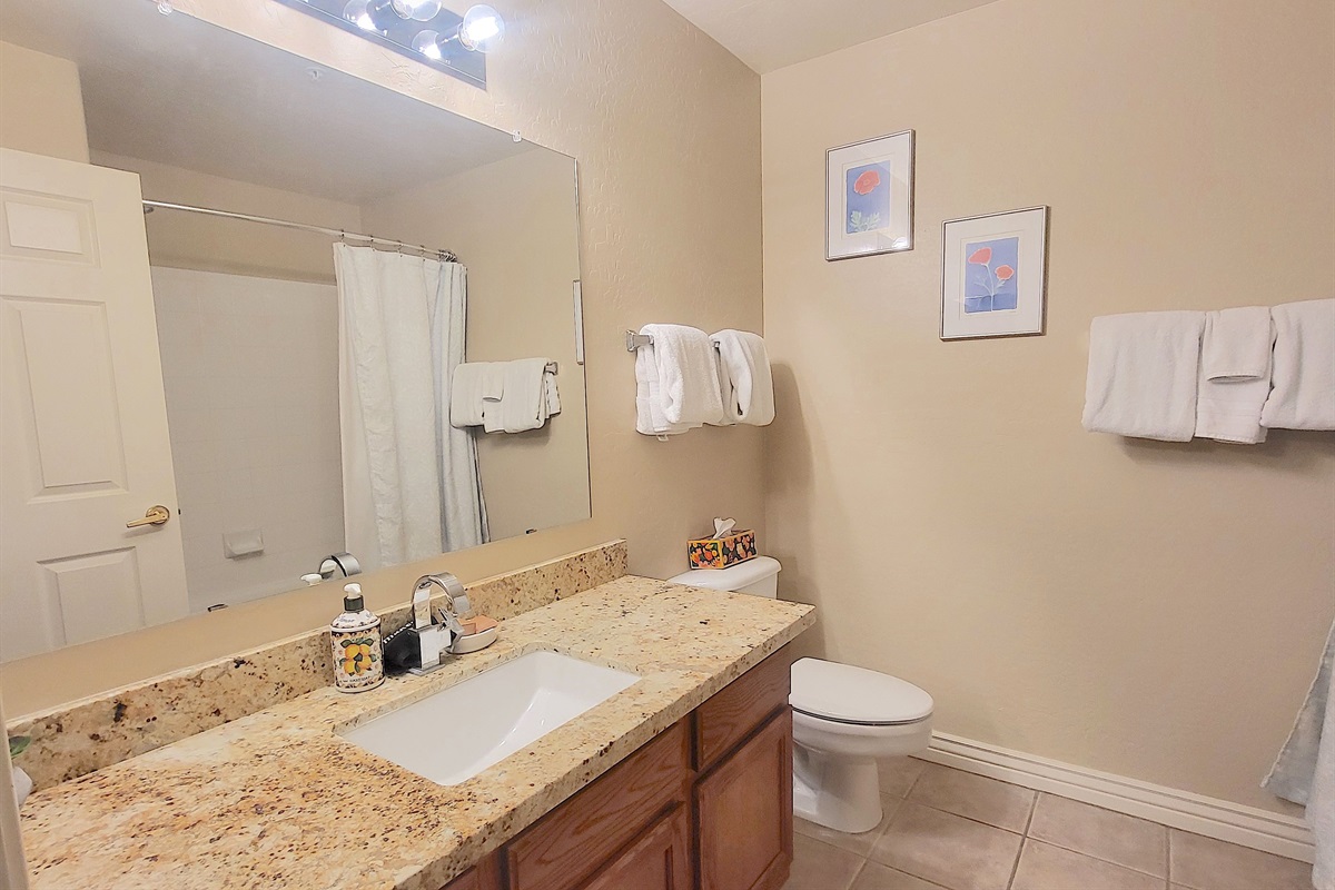 Guest bathroom