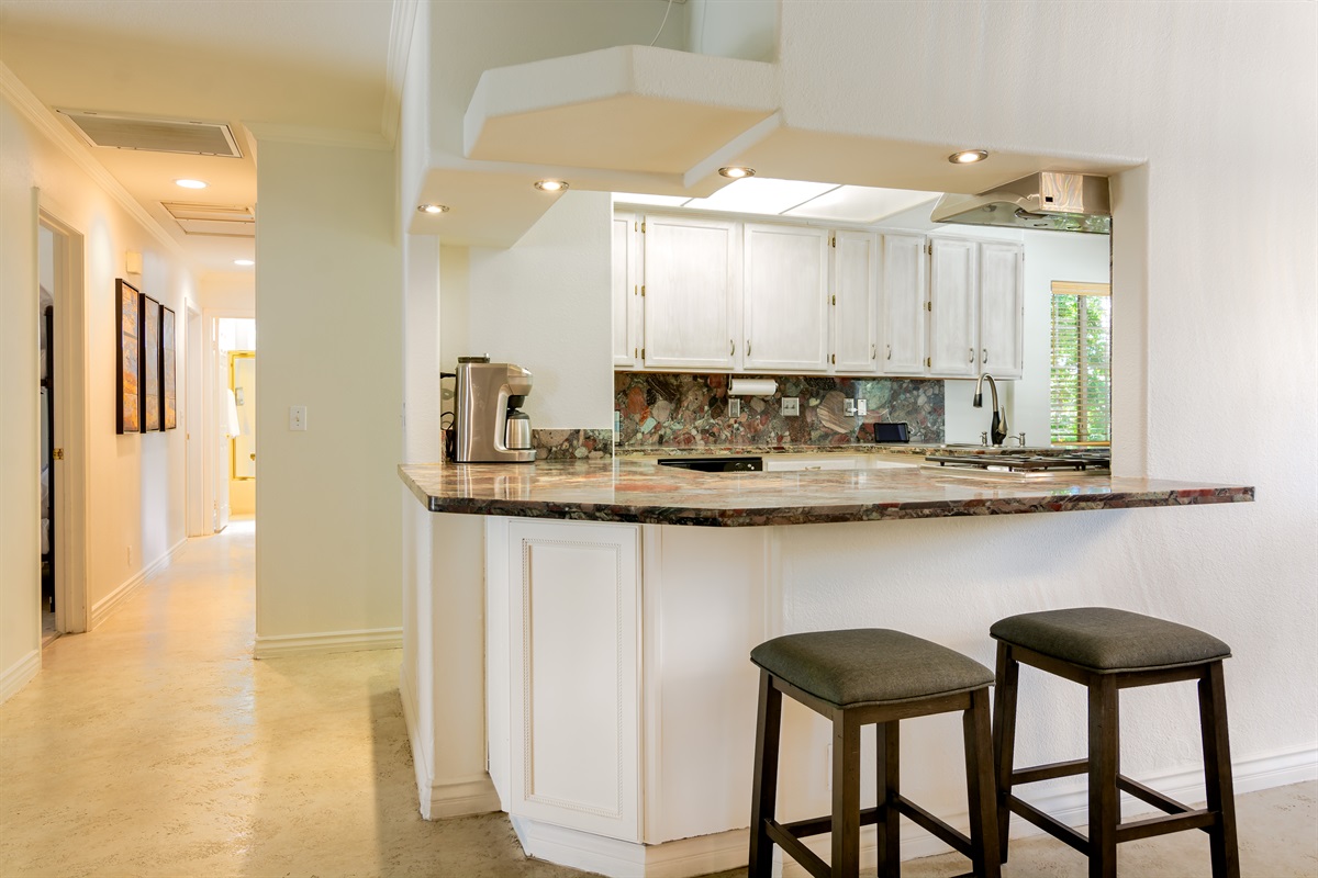 Kitchen and breakfast counter