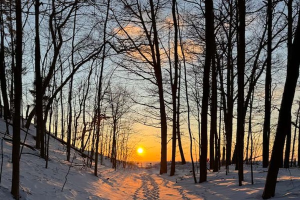 Snowy path, glowing sunset, and a peaceful walk to the beach—winter at its best.