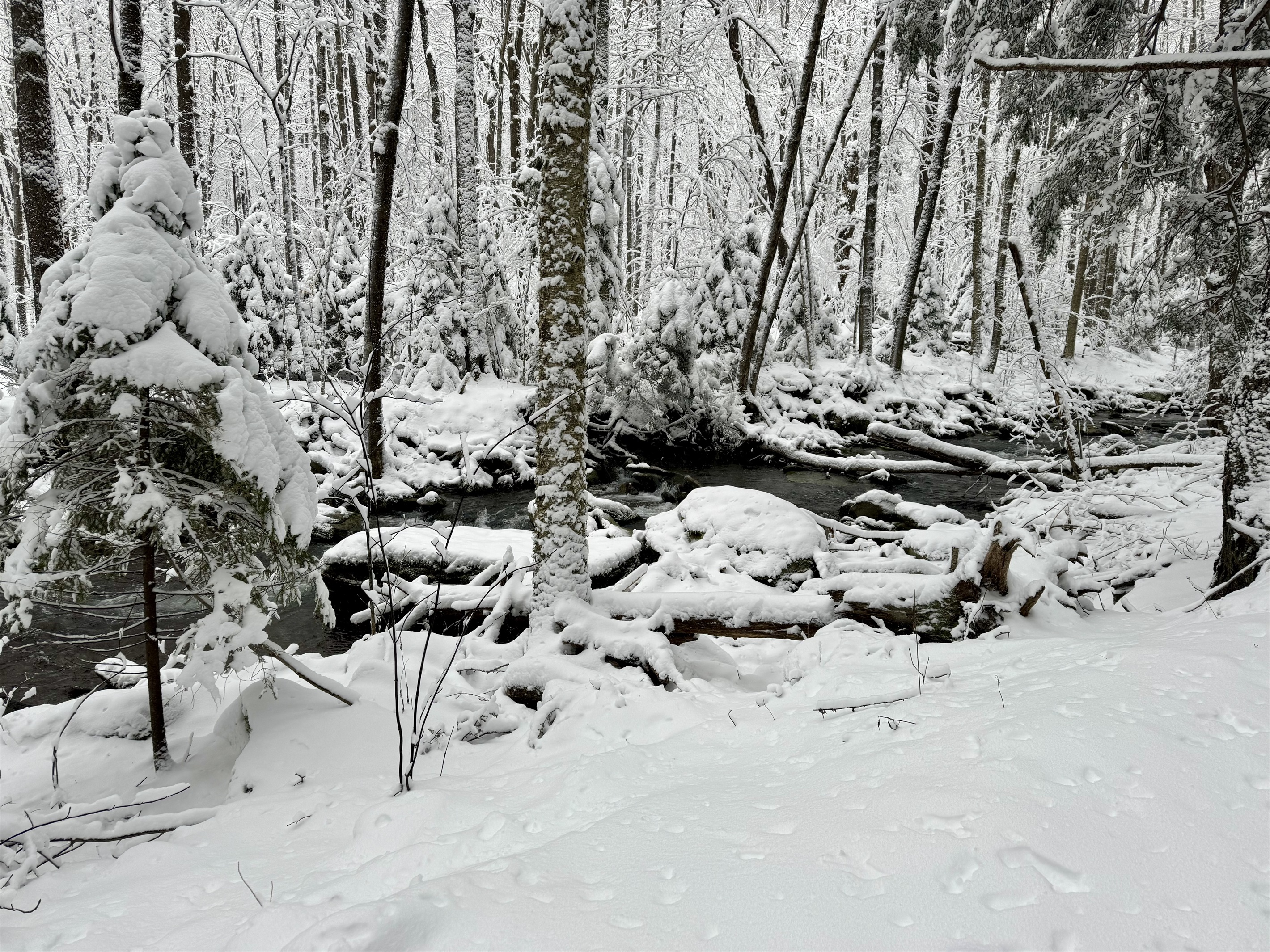 From nearby Hunter Mountain Trail