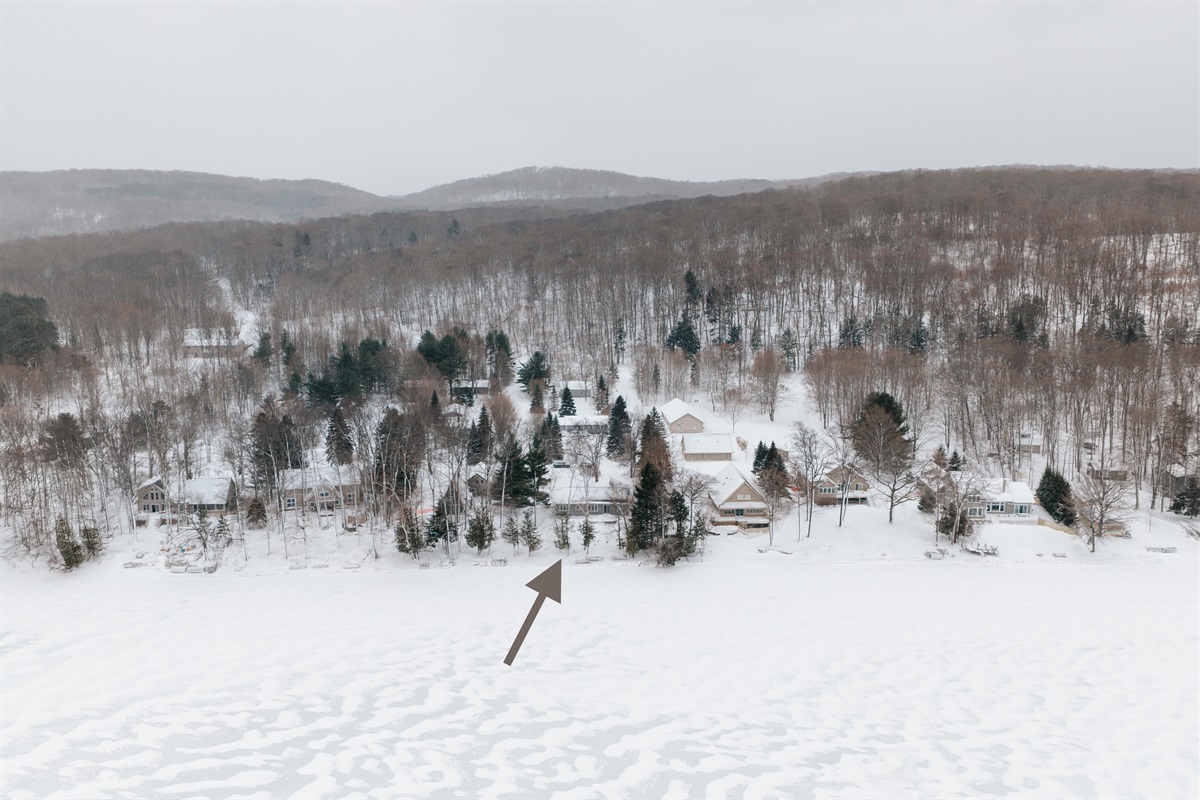 Aerial view showing home location
