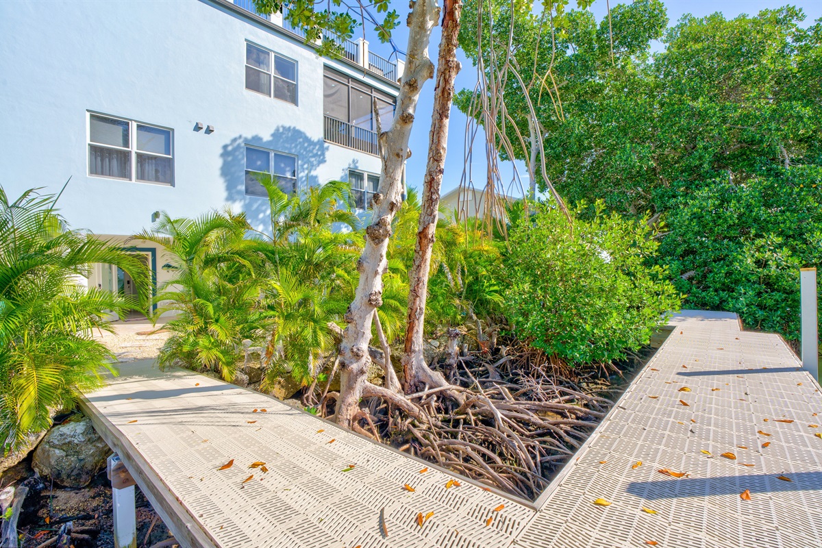 Let's head back around to the front yard